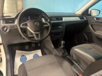 Skoda Rapid 14