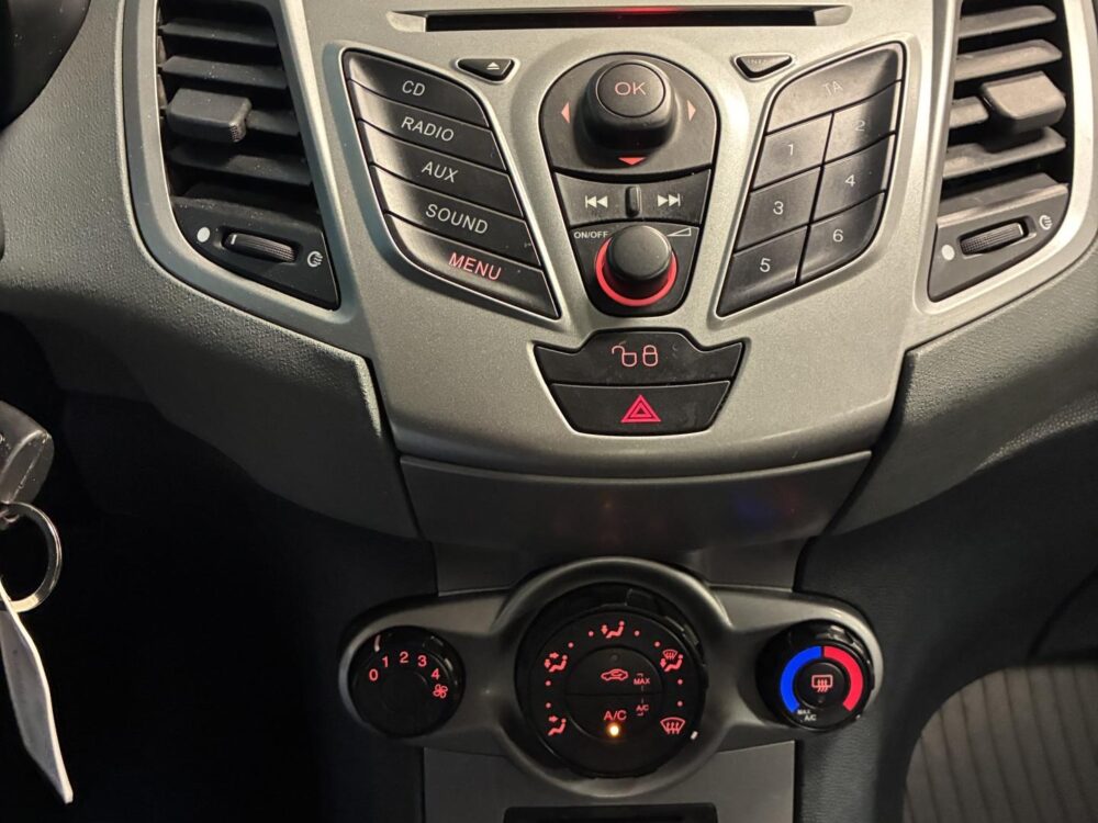 Ford Fiesta 15
