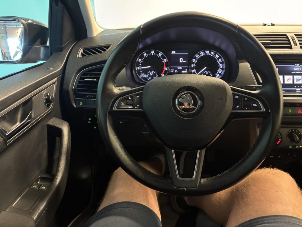 Skoda Fabia 10
